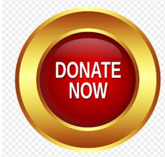 donate-now